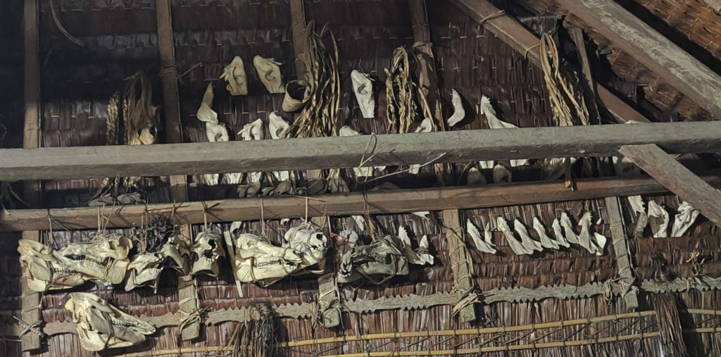 Animal bones displayed in a Mentawai Sikerei house