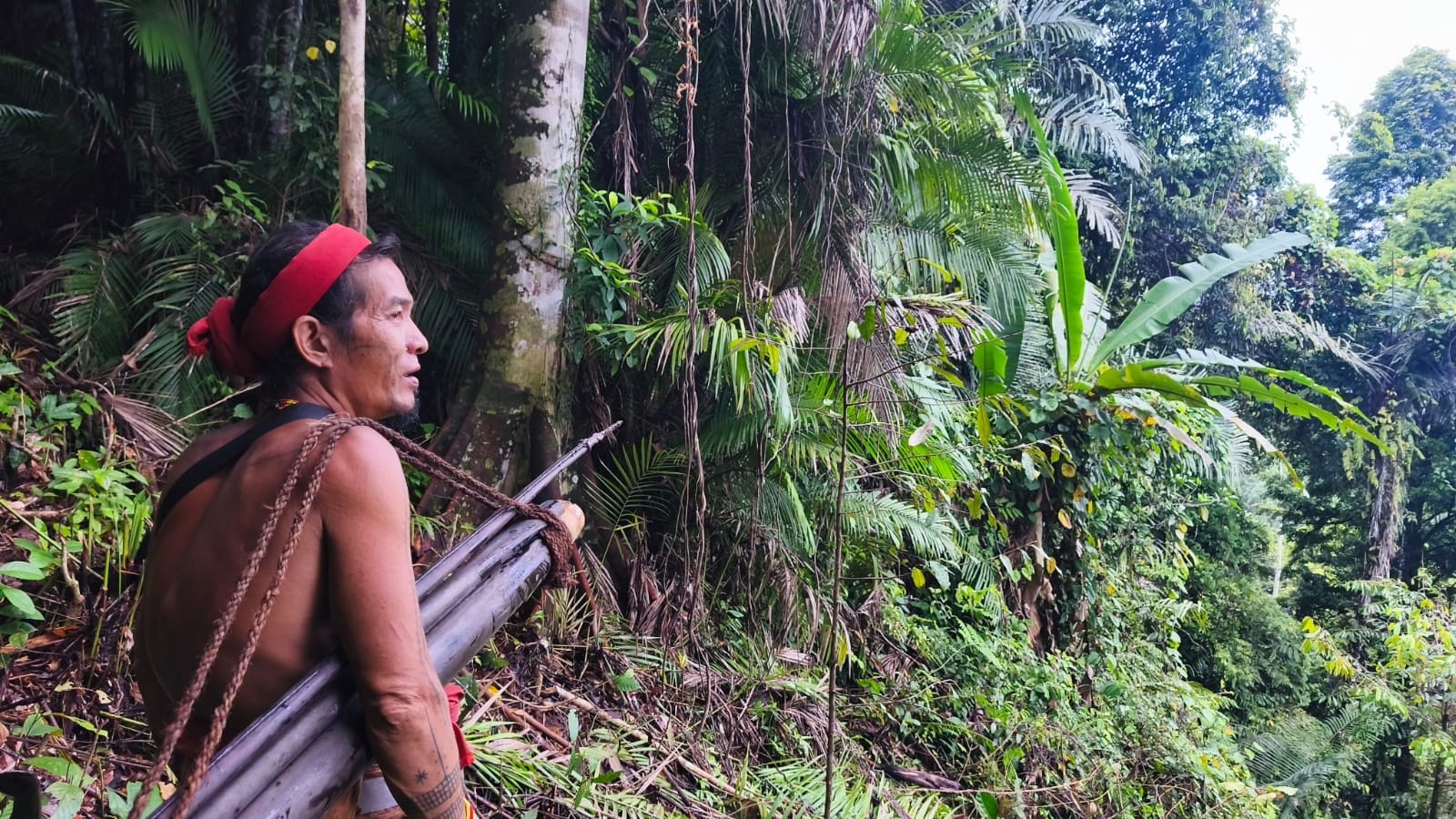 Mentawai Sikerei shaman in traditional attire, Siberut Island Indonesia
