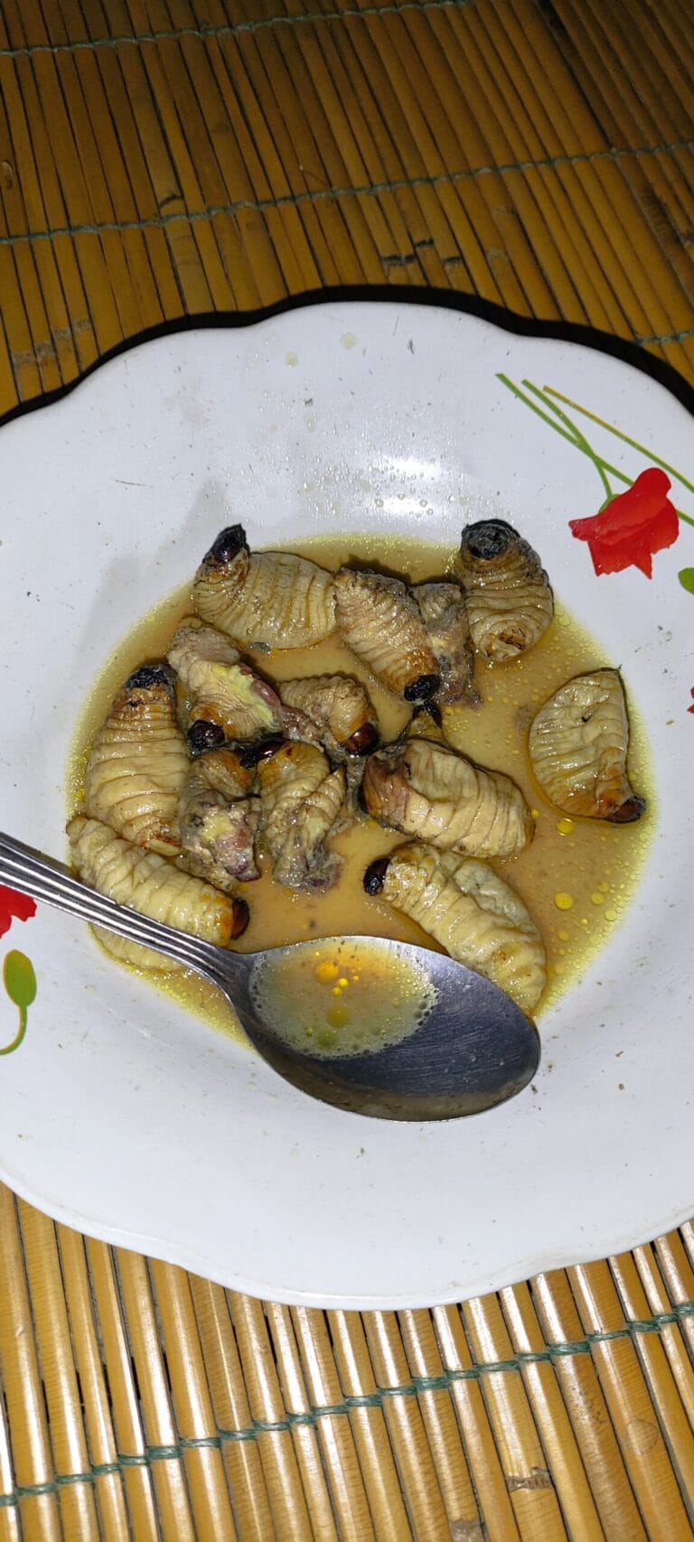 Cooked sago grubs served as traditional Mentawai food in Siberut village