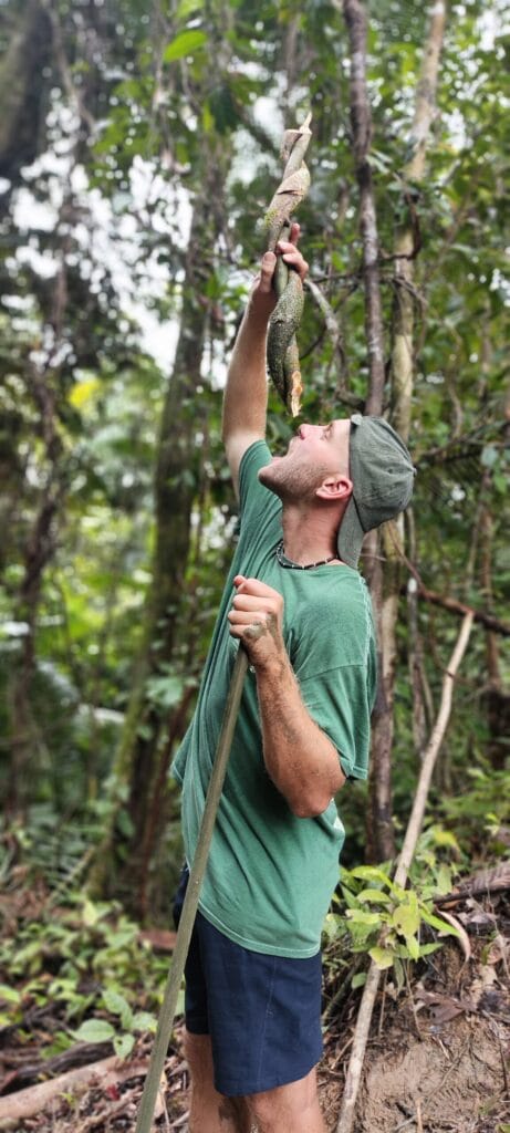 Tour guest drinking emergency water from a cut jungle vine during a Mentawai jungle trek
