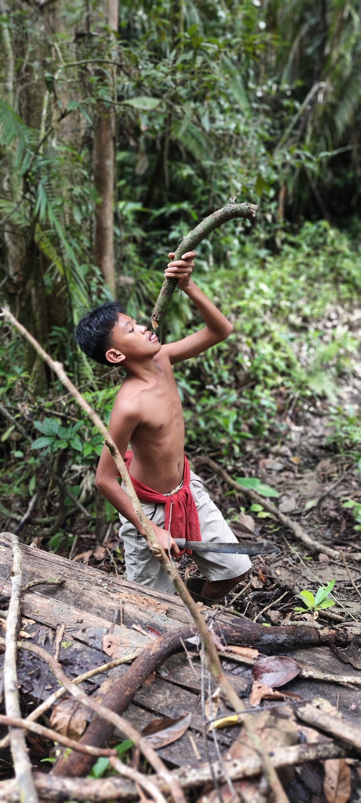 Local Mentawai boy drinking water from a forest vine in the Siberut jungle