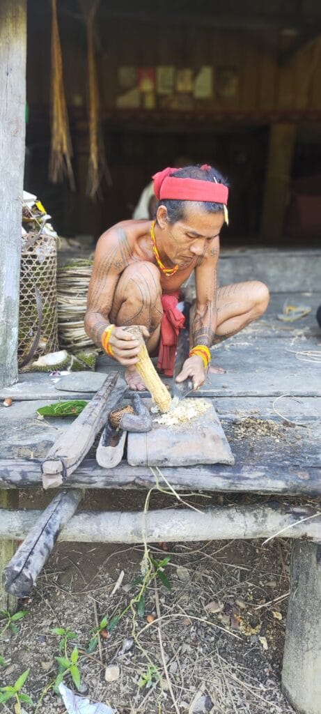 Mentawai Sikerei crafting natural arrow poison using freshly harvested rainforest plants in Siberut