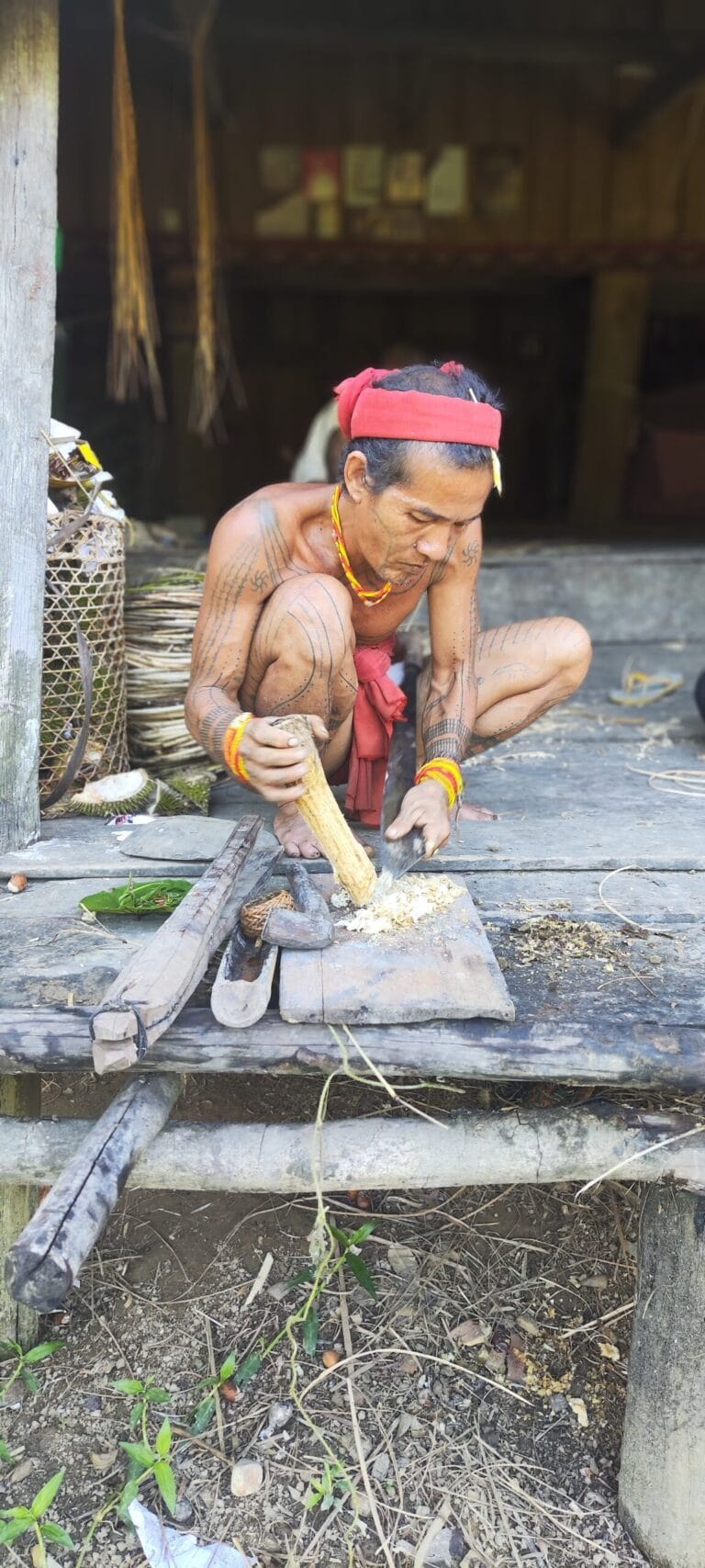 Mentawai Sikerei crafting natural arrow poison using freshly harvested rainforest plants in Siberut
