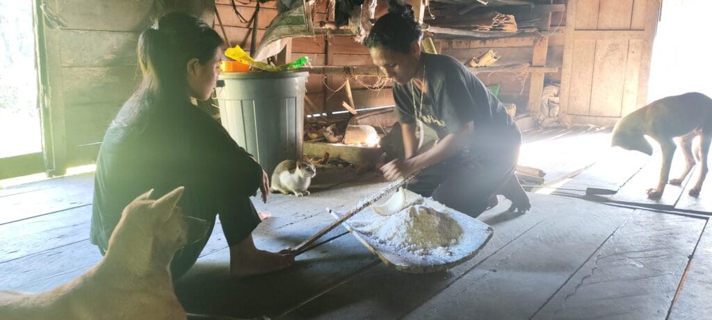 Mentawai women processing sago flour using traditional method in Siberut village