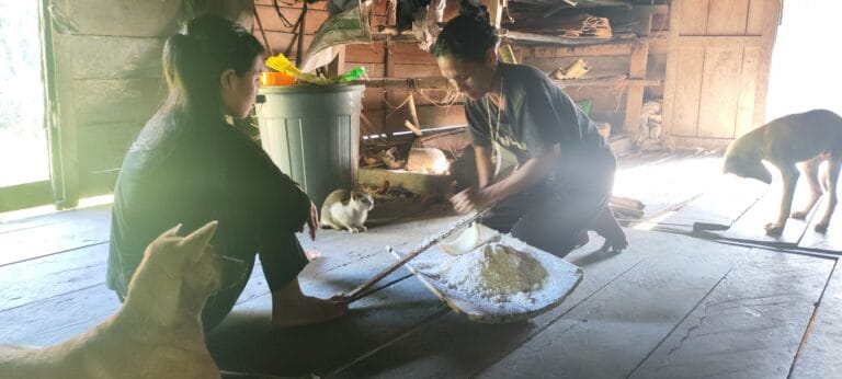 Mentawai women processing sago flour using traditional method in Siberut village