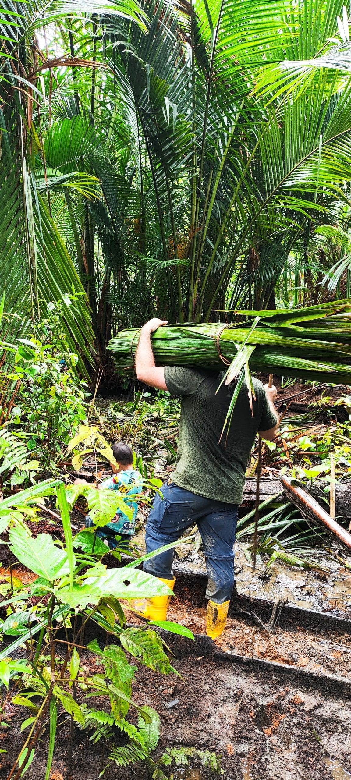 Guest carrying a bundle of sago leaves through the Mentawai forest