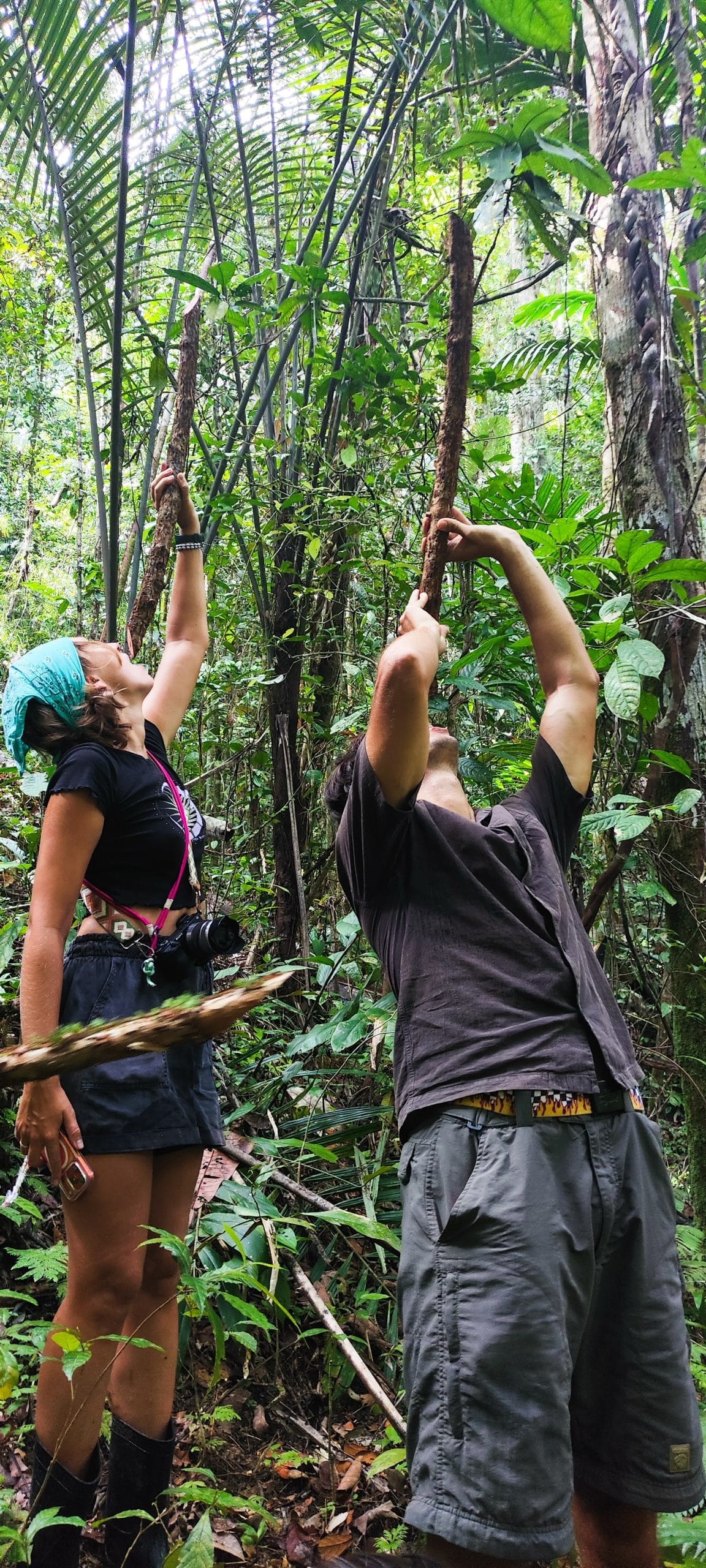 Guests cutting a forest vine for emergency water, Mentawai jungle