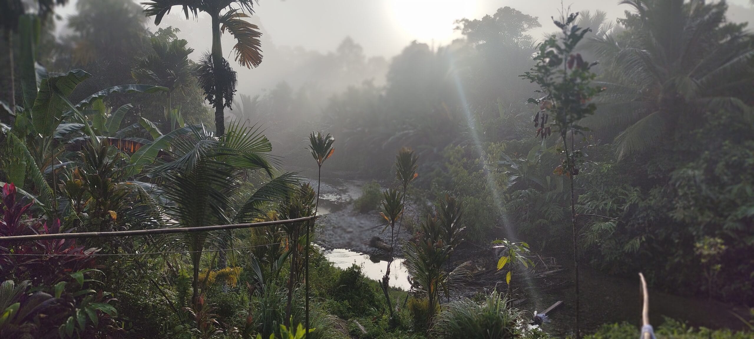 Misty sunrise over a jungle river in the Mentawai Islands