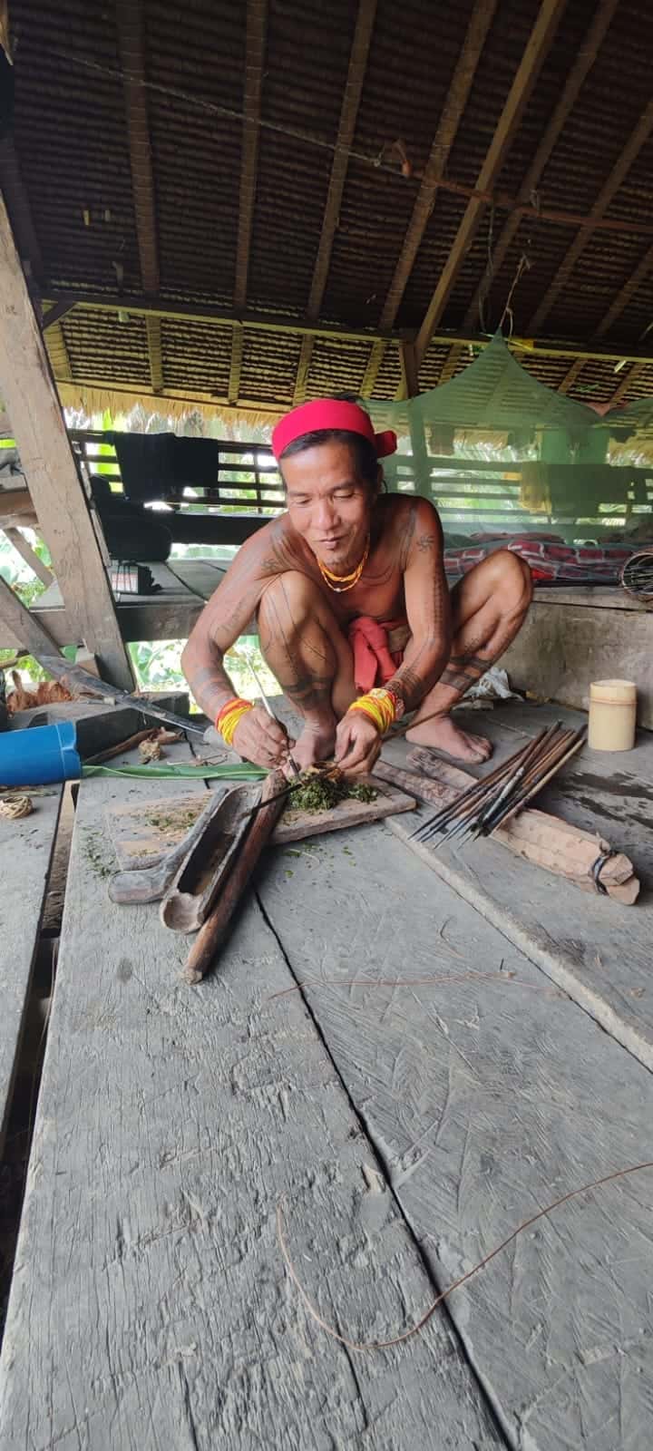 Traditional arrow poison preparation