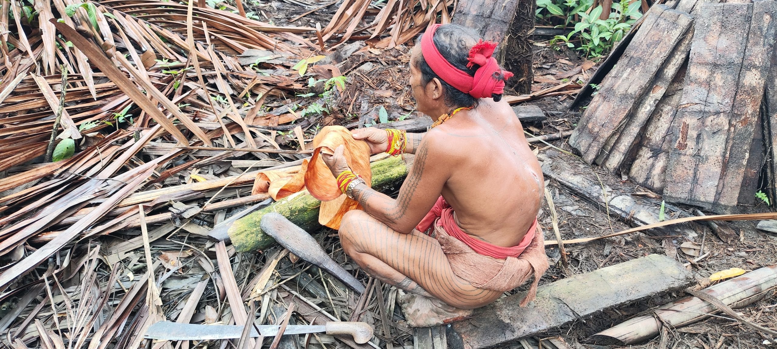 Sikerei processing tree bark for traditional clothing, Mentawai