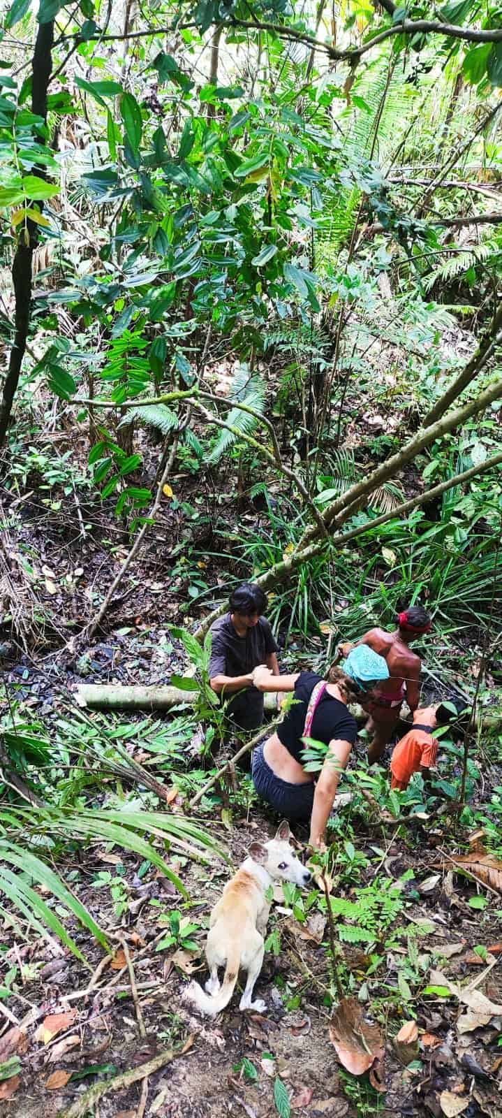 Tracking through Mentawai jungle