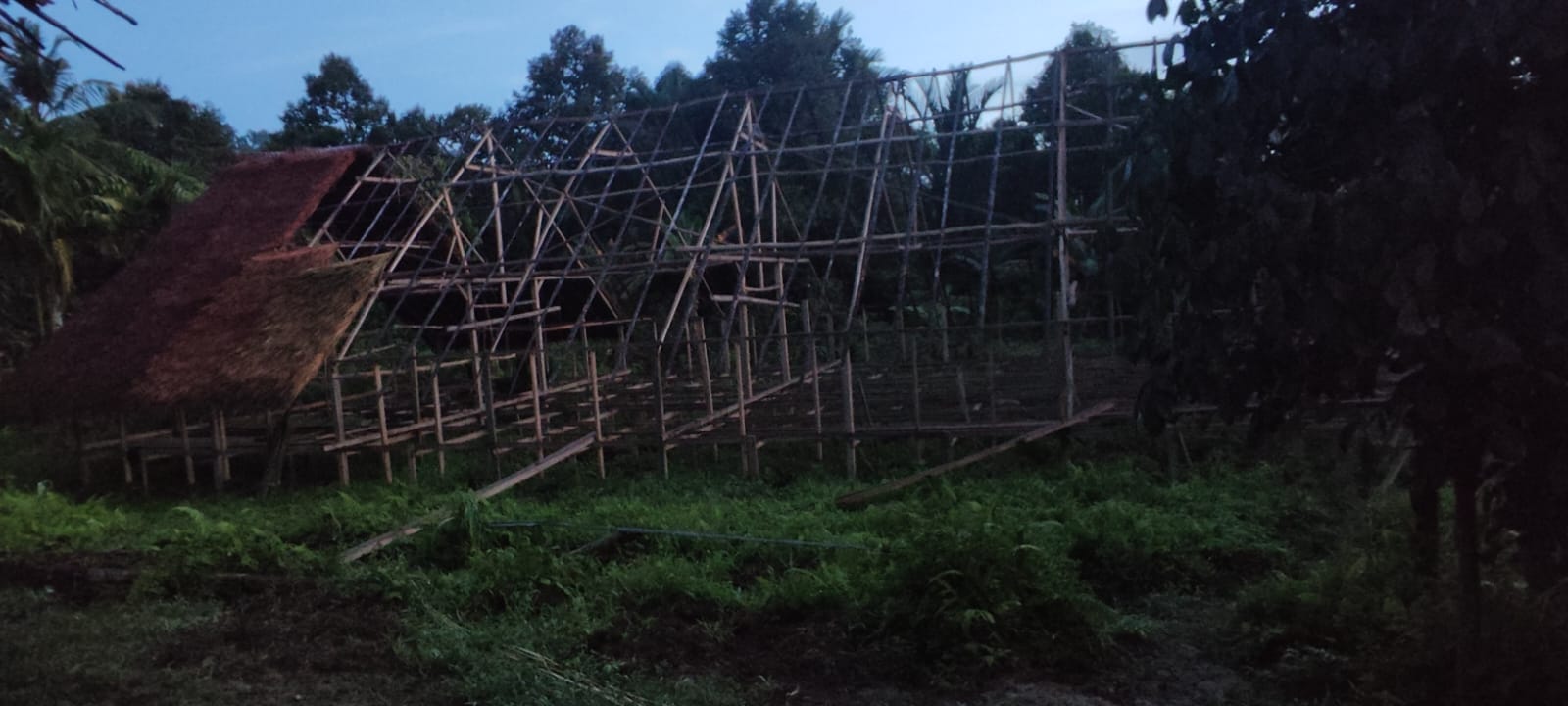 Uma longhouse under construction, wooden frame structure